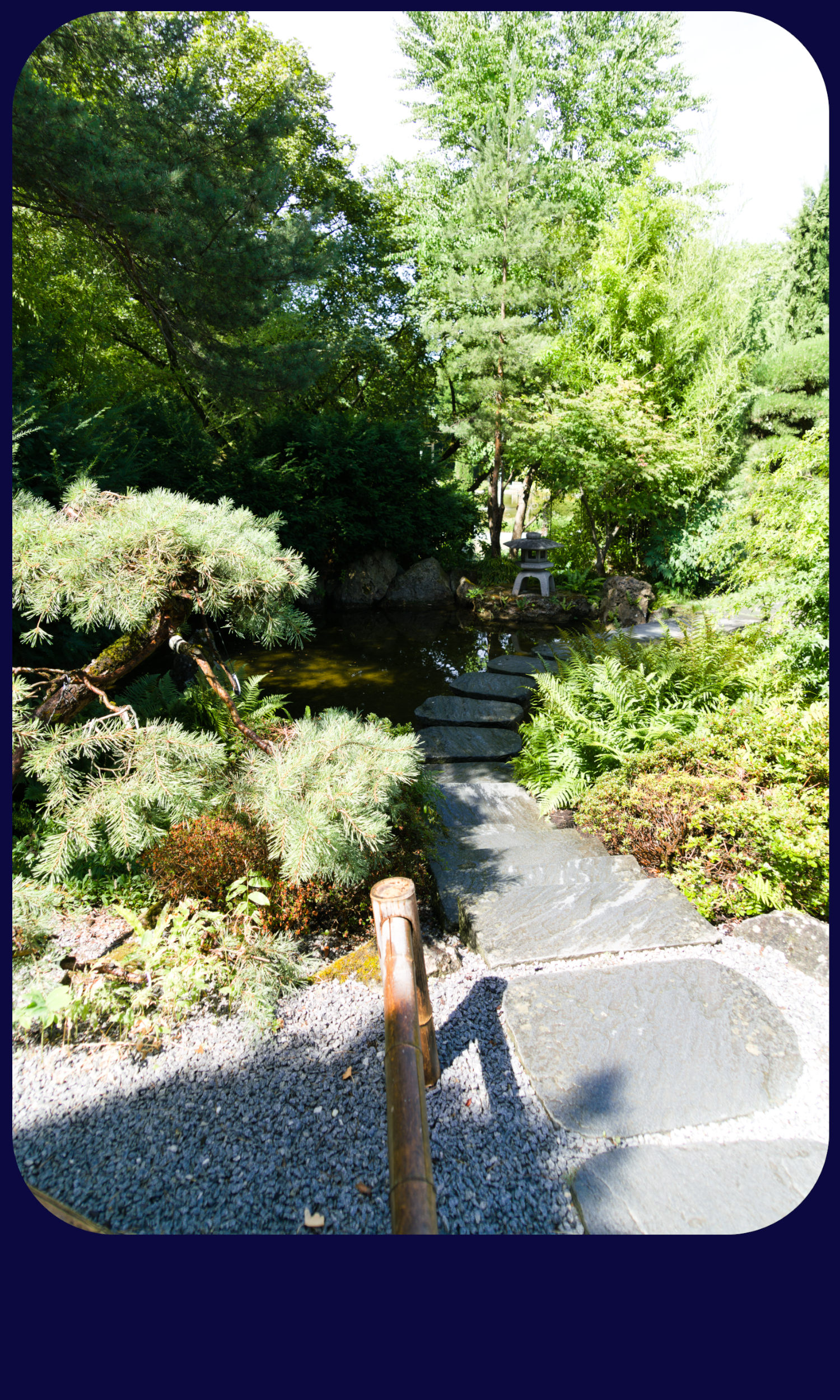 Bluehendes Barock Japangarten